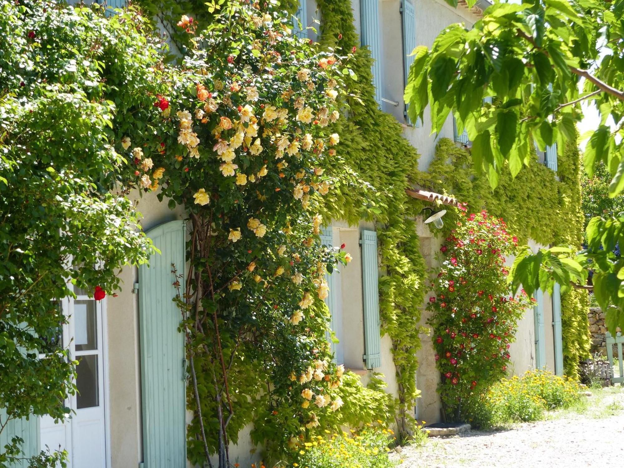 La Ferme du petit Ségriès Bed&Breakfast Moustiers-Sainte-Marie Habitación foto