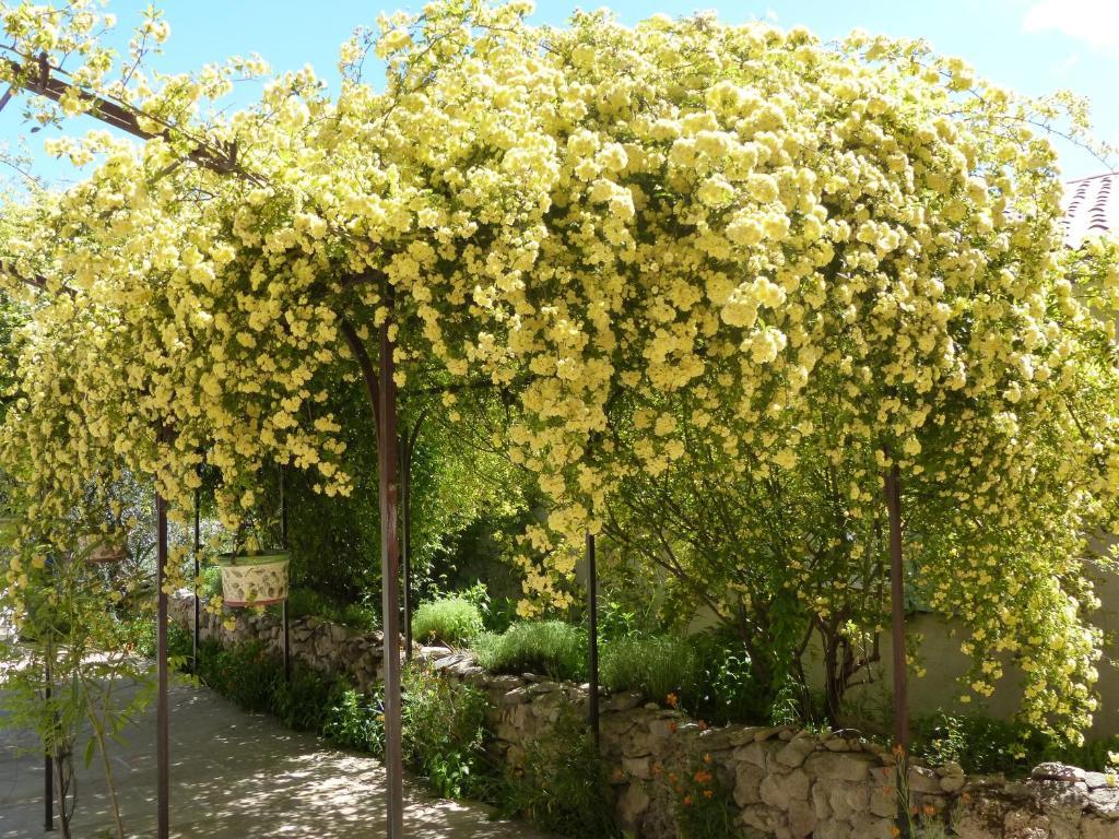 La Ferme du petit Ségriès Bed&Breakfast Moustiers-Sainte-Marie Exterior foto