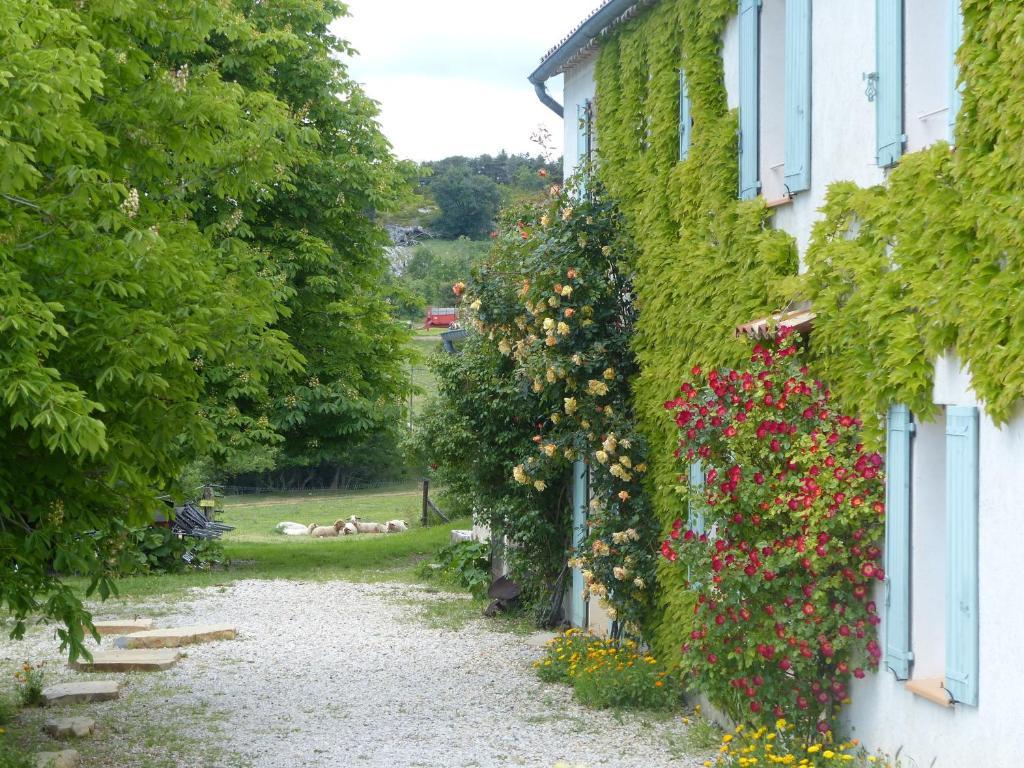 La Ferme du petit Ségriès Bed&Breakfast Moustiers-Sainte-Marie Exterior foto